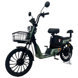 48V 650W 20Ah