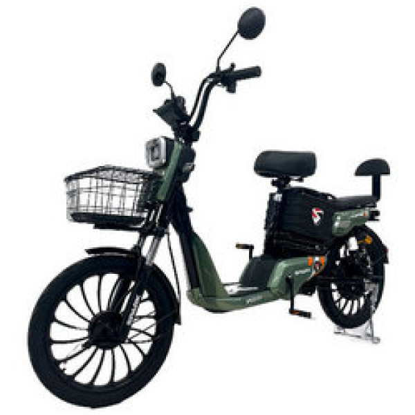48V 650W 20Ah