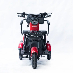 Forte Family-P600 (червоний)