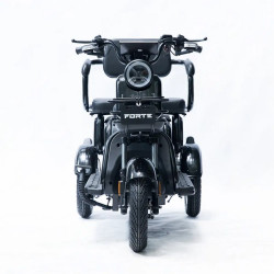 Forte Family-P1000 (чорний)