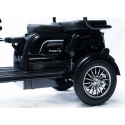 Forte Family-P1000 (чорний)