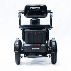 Forte Family-P1000 (чорний)