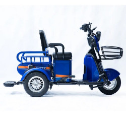 Forte CARGO-P650 (синій)