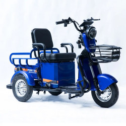 Forte CARGO-P650 (синій)