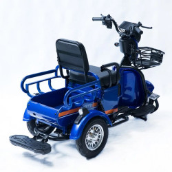Forte CARGO-P650 (синій)