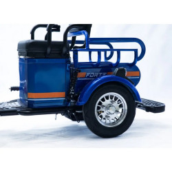 Forte CARGO-P650 (синій)