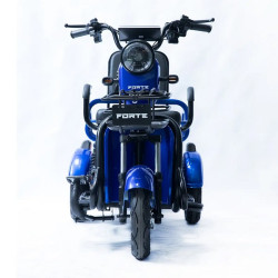 Forte CARGO-P650 (синій)