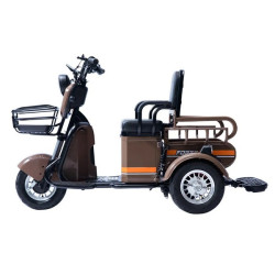 Forte CARGO-P650 (коричневий)