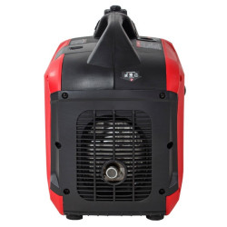 Vitals Master IG 2.8bs