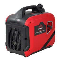 Vitals Master IG 2.8bs