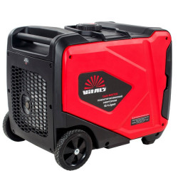 Vitals Master IG 4.2gset