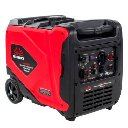 Vitals Master IG 4.2gset