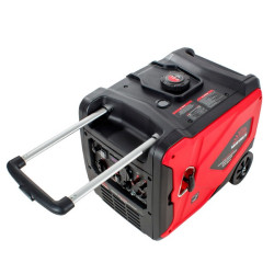 Vitals Master IG 4.2gset